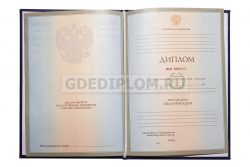 диплом РУДН 2004-2009