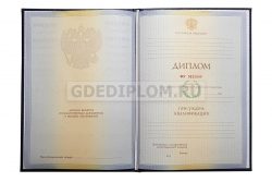 диплом РУДН 2010-2011