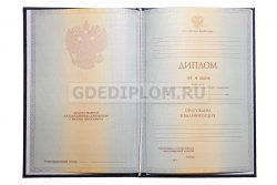 диплом РУДН 2012-2013