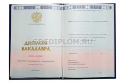 диплом РУДН 2014-2025