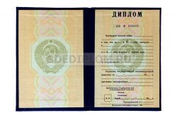 диплом РУДН СССР до 1996 года